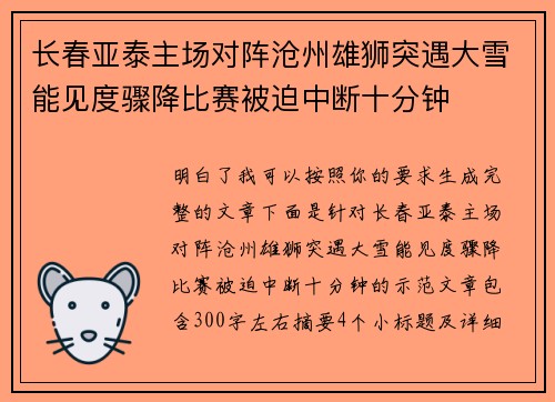 长春亚泰主场对阵沧州雄狮突遇大雪能见度骤降比赛被迫中断十分钟